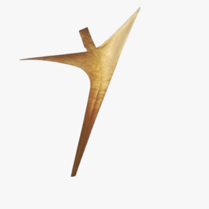 Avec vous