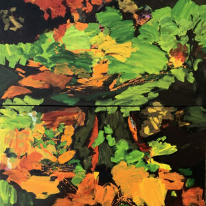 Forest Scene